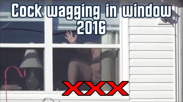 Cock wagging in window 2016 title-0002.png