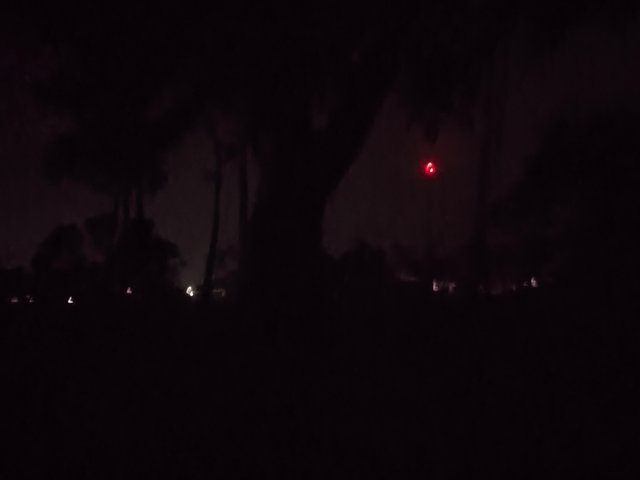 1000038240.jpg