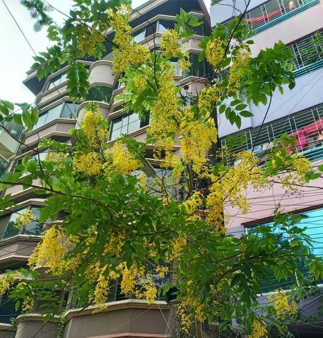 20230503_073613.jpg
