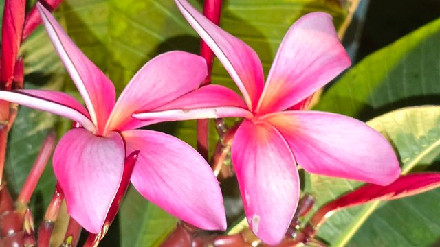 20250405_201033.jpg