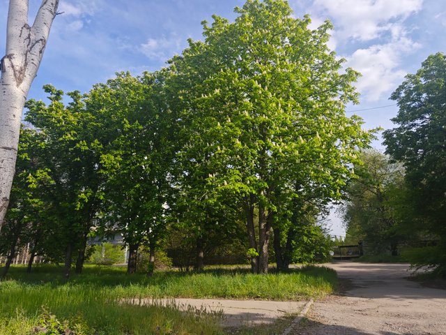 1000081537.jpg