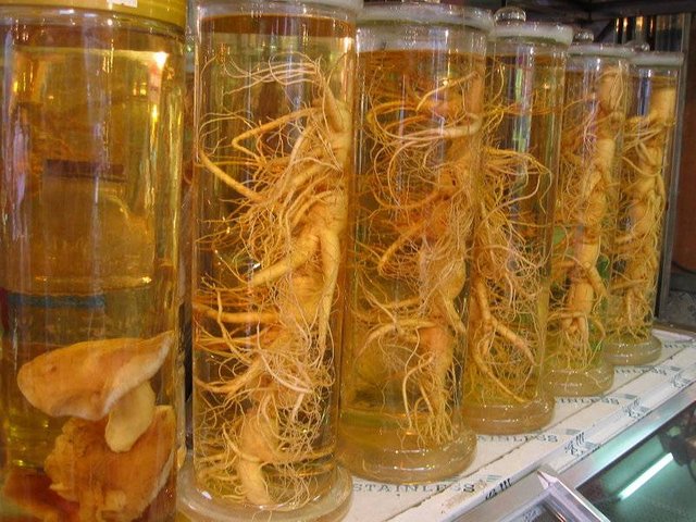 ginseng-0.jpg