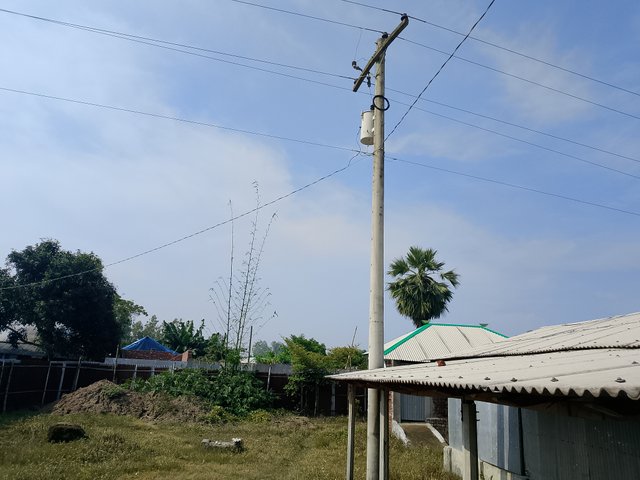 1000045577.jpg