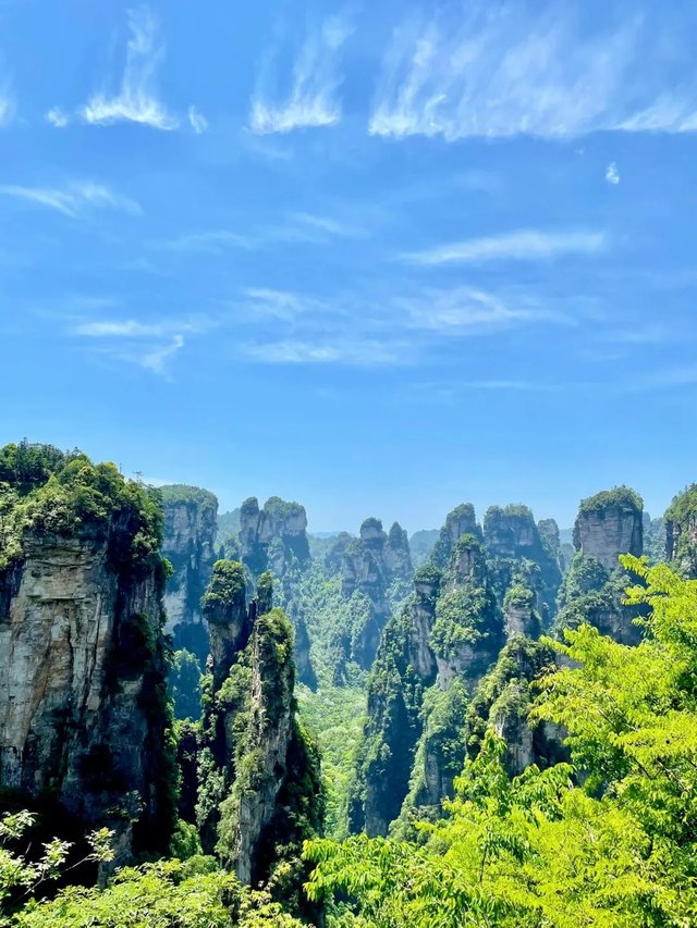 src=http___safe-img.xhscdn.com_bw1_bad9182f-83f7-4e4a-a211-ed3d8a31acc8_imageView2_2_w_1080_format_jpg&refer=http___safe-img.xhscdn.webp.jpg