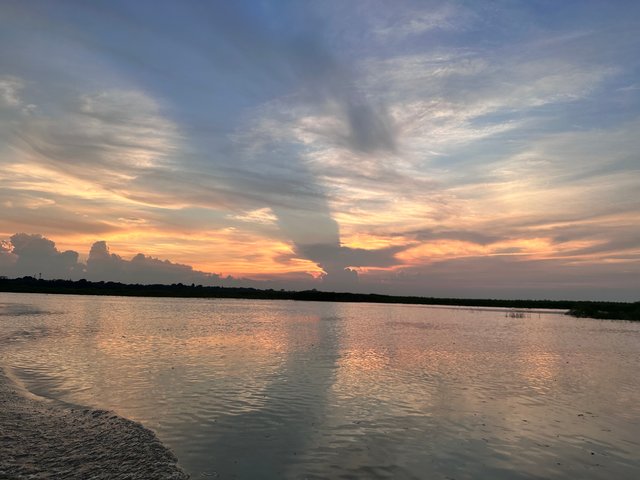 IMG_7734.jpeg