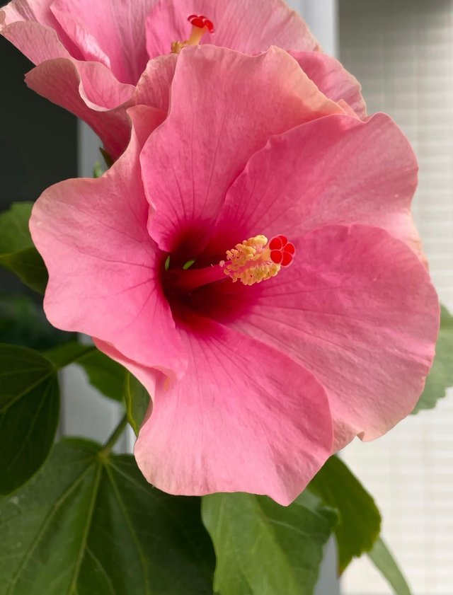 IMG_20250905_085346.jpg