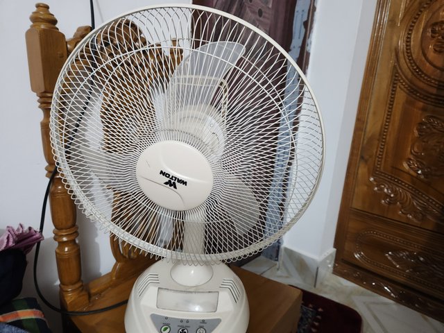1000091913.jpg