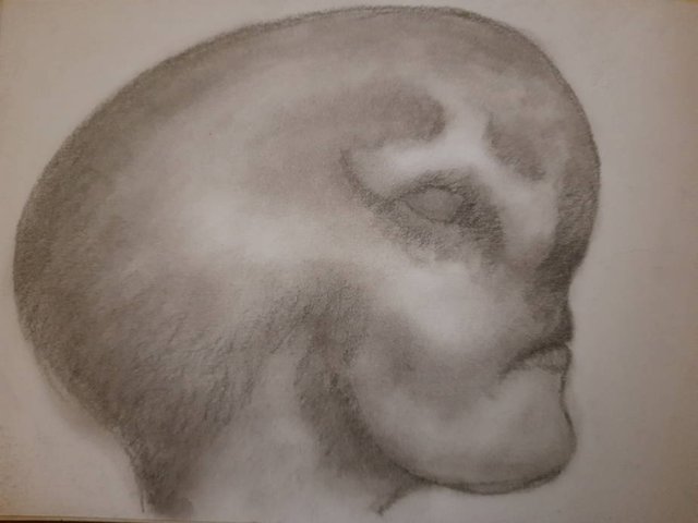 20250813_103621.jpg