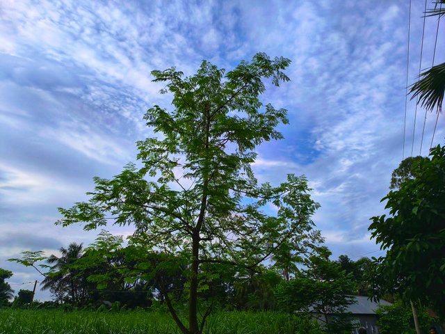 IMG_20250710_175812.