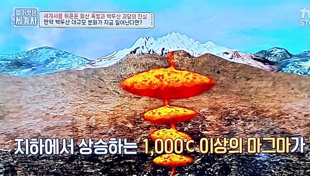1000024781.jpg