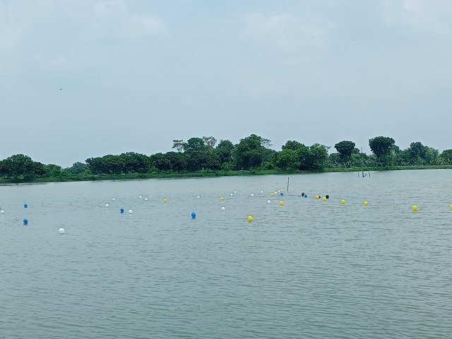 IMG20250621132931.jpg