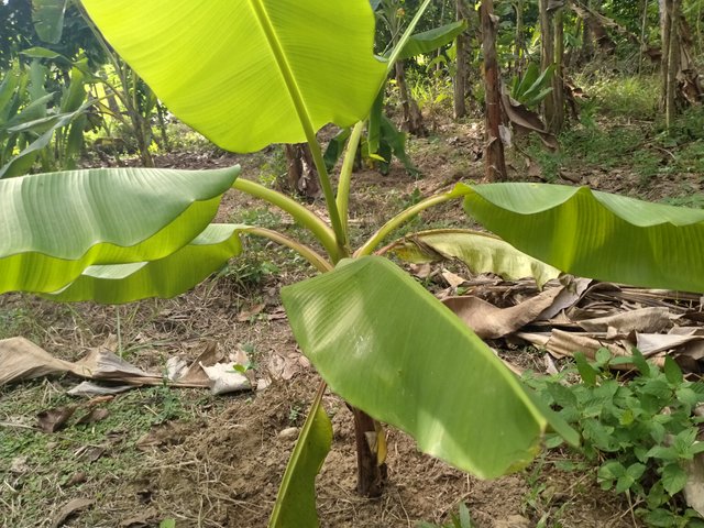 IMG20200903162608.jpg