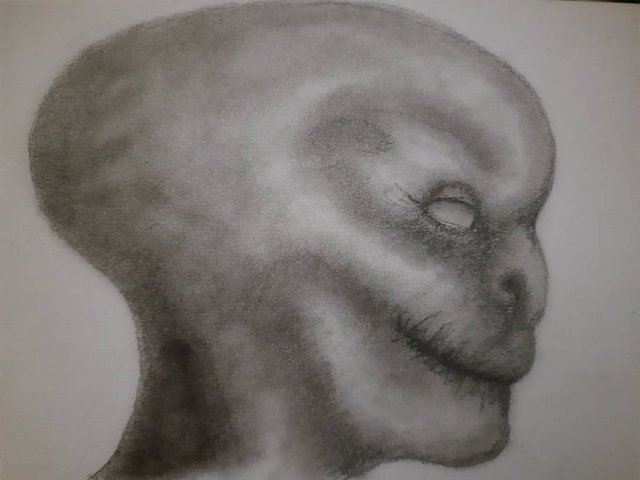 20250724_105356.jpg