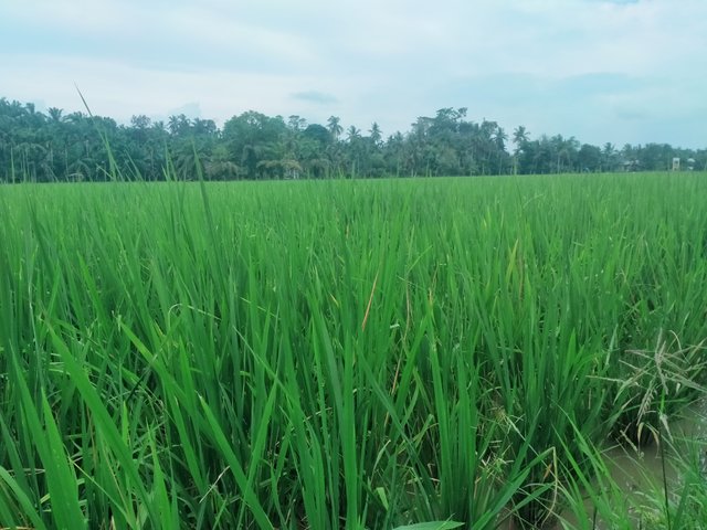 IMG20250309162819.jpg