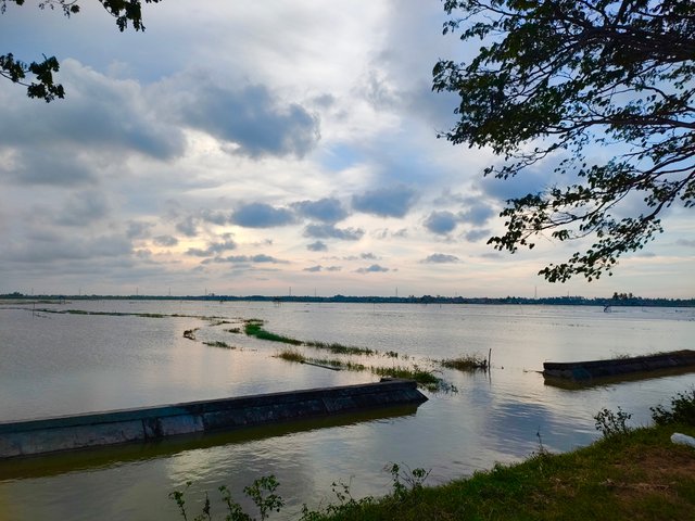 IMG_20250310_181823.jpg
