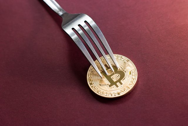 Bitcoin-gold-coin-fork.jpg