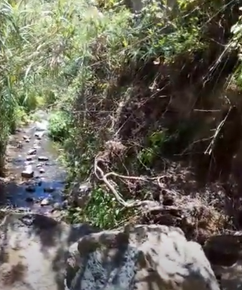 la gomera-nach steinschlag.png