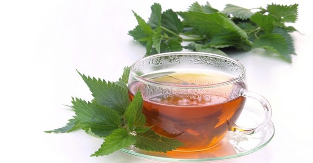 Nettle-Tea-800x416.jpg