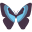 butterfly (6).png