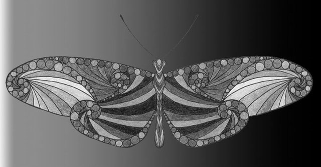 Butterfly 5 grey.jpg