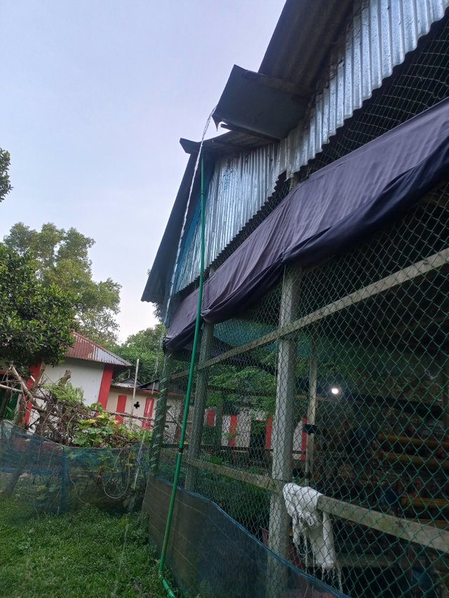 IMG20250712182717.jpg