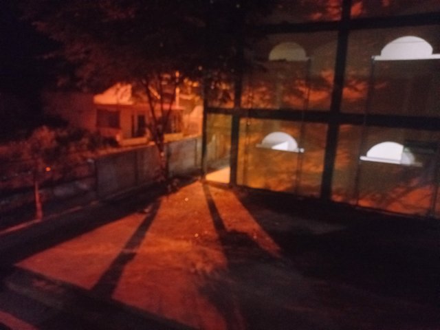 1000046286.jpg