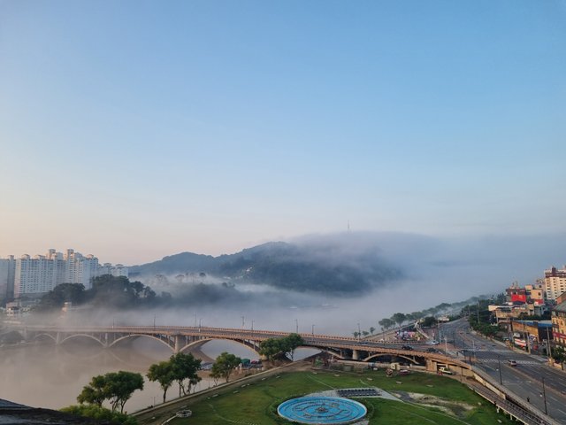20250723_055552.jpg