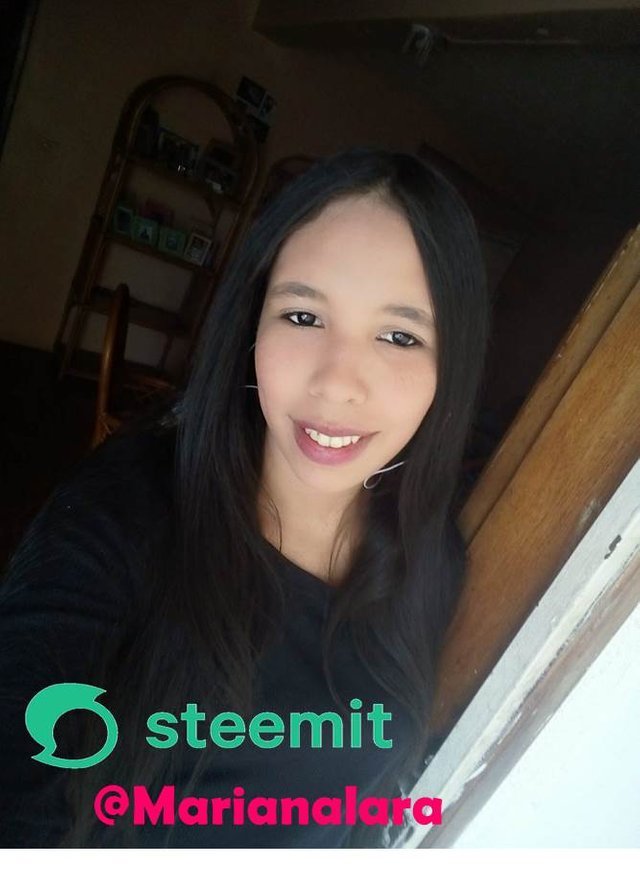 steem.jpg