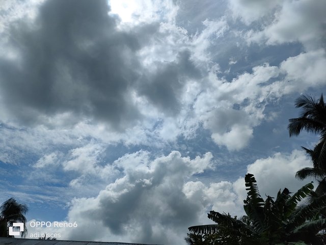 IMG20250620134312.jpg