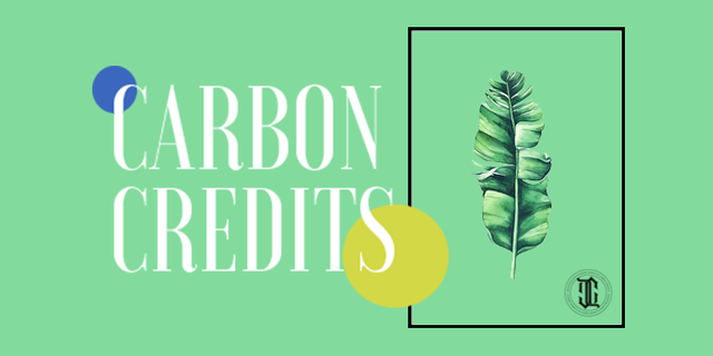 carbon_credits_medium (1).png