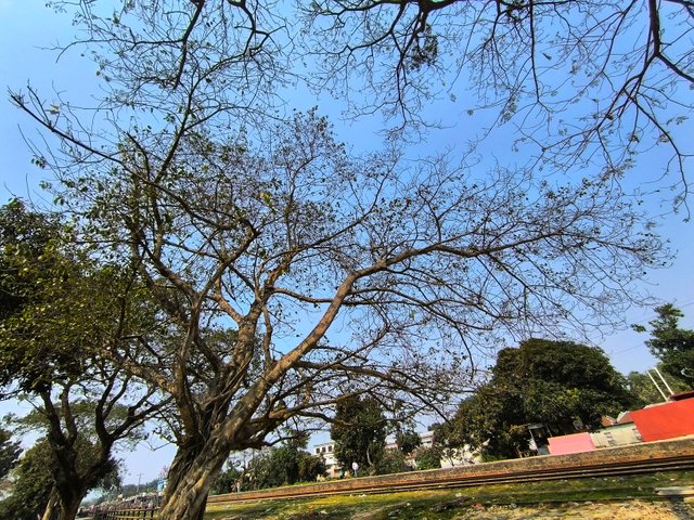 IMG_20250301_123433.jpg