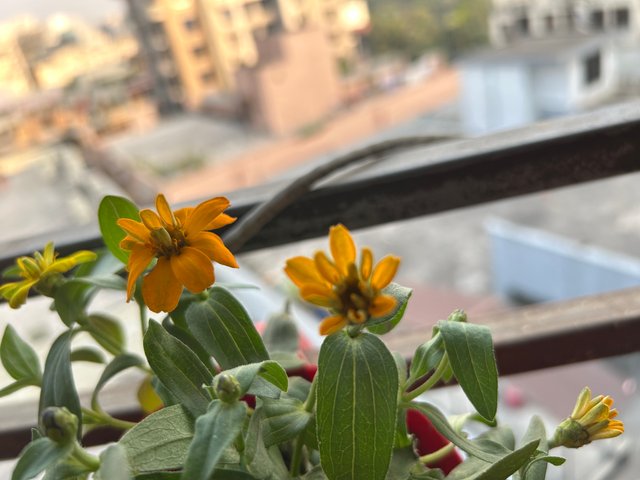 IMG_8329.jpeg