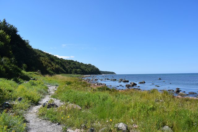 DSC_0202.JPG