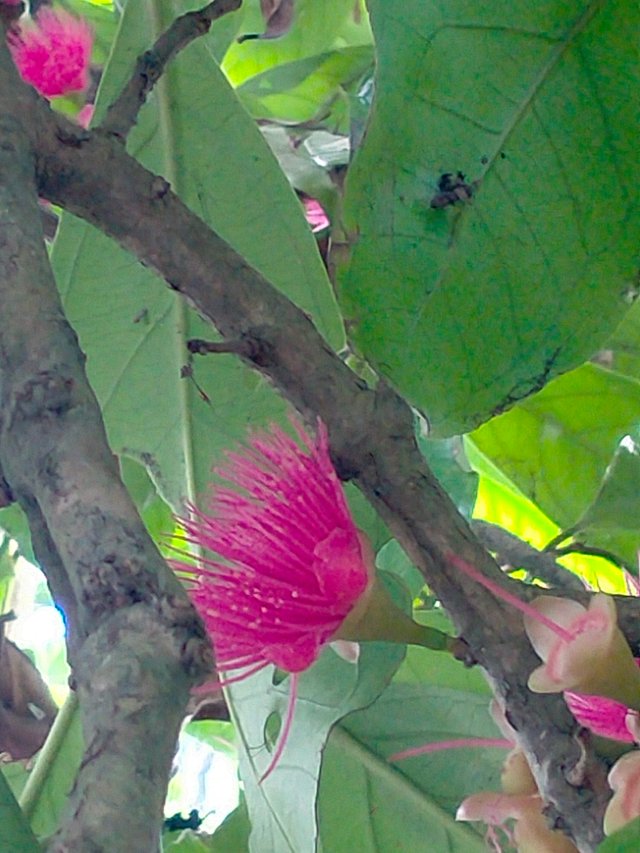 IMG20251031101034.jp