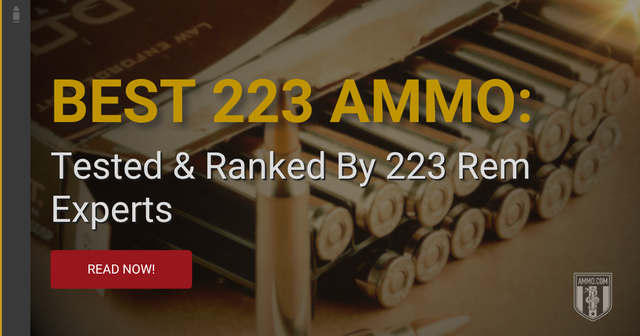 (38) Tested & Ranked By 223 Rem Experts.png