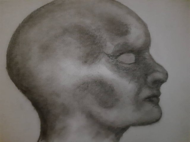 20250626_103954.jpg