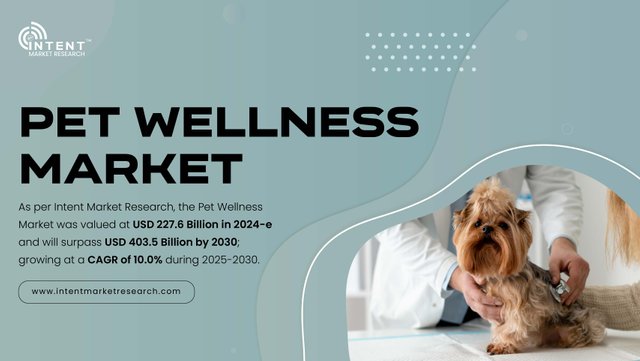 Pet Wellness Market-01.jpg