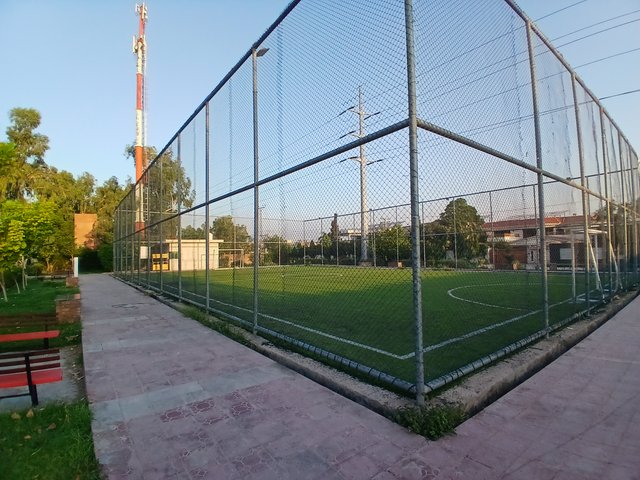 20250909_063330.jpg
