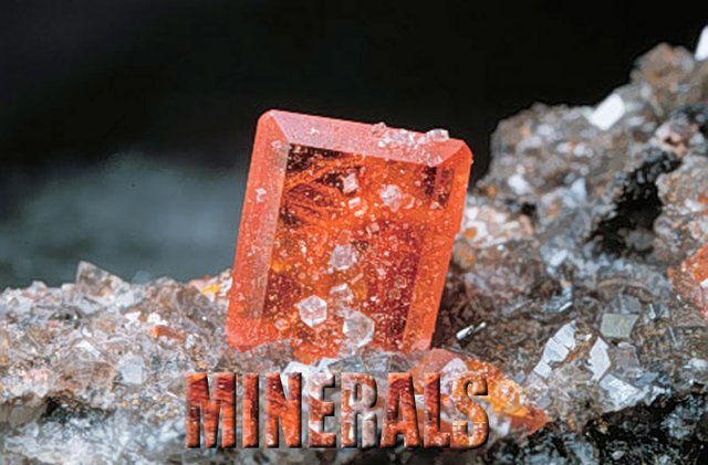 Minerals_01-down.jpg