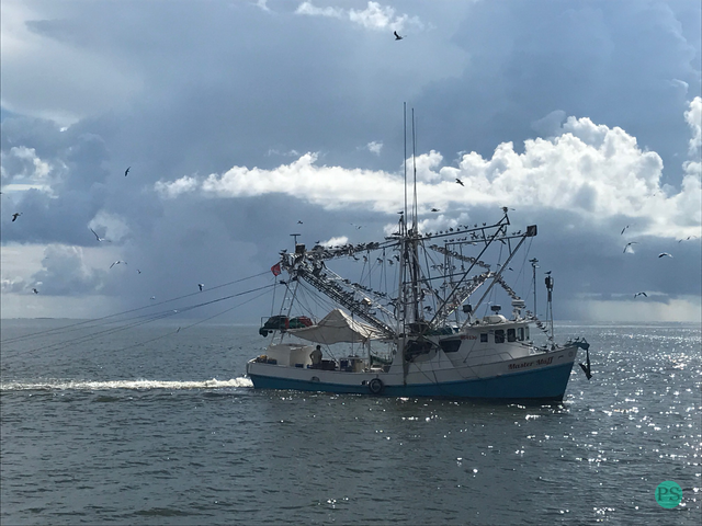 Shrimp_Boat_Grand_Isle_LA_photoscapes.png