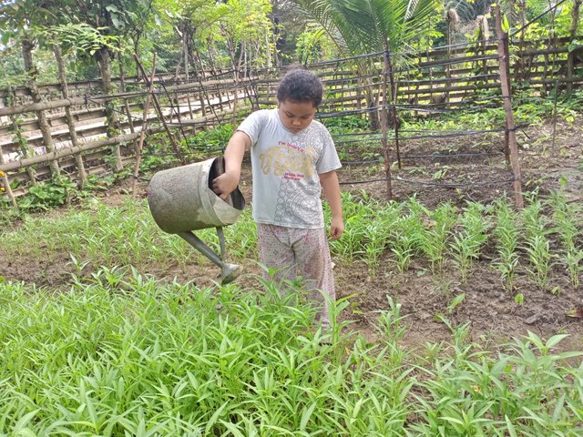 IMG20250628090247.jpg