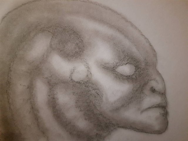 20250523_104932.jpg