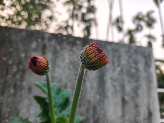 1000013634.jpg