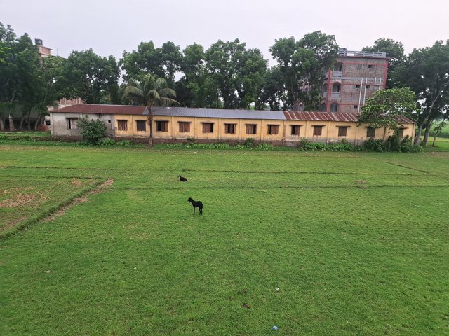1000207471.jpg