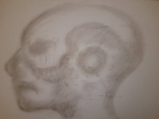 20250805_102459.jpg