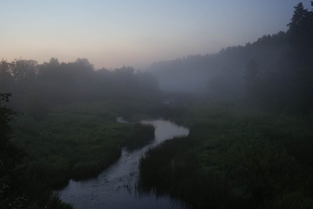 DSC00761.jpg