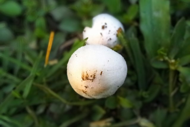20250324_181354~2.jpg