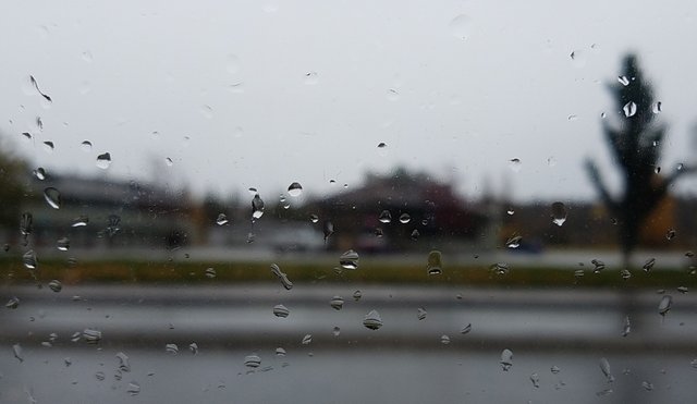 630 rain drops on side window.jpg