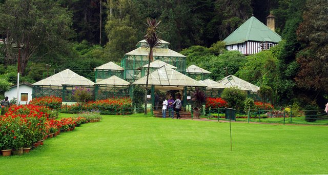 botanical-garden-ooty.jpg