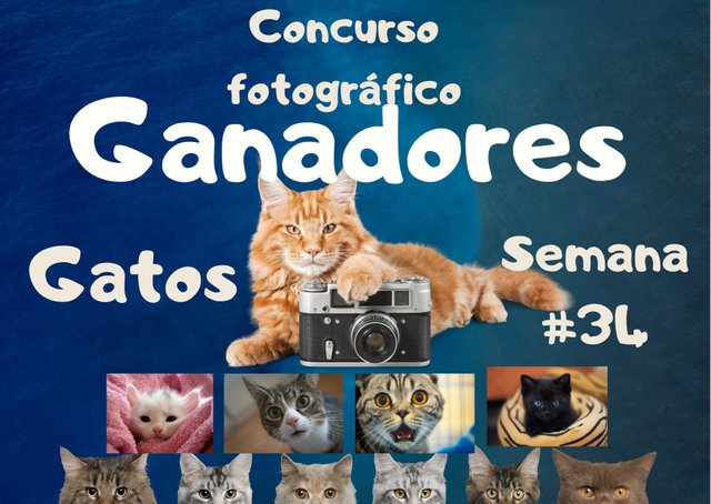 concurso fotografico #5 (15).jpg